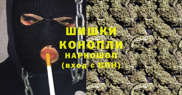 Альфа ПВП Бугульма
