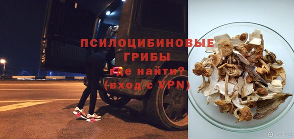 Альфа ПВП Бугульма